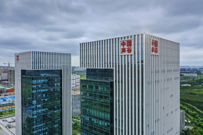 中国声谷 央广网发合肥高新区工委办供图 