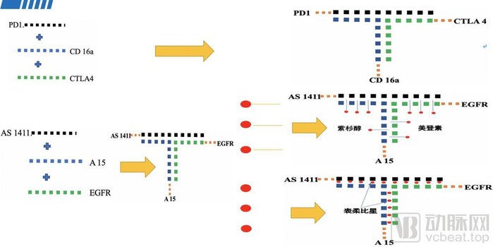 百药智达的纳米核酸药物合成工艺
