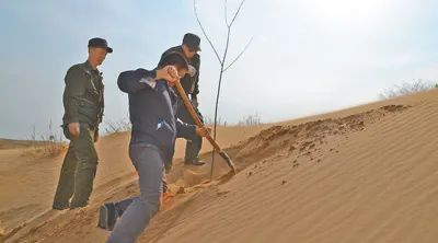 大兴镇群众在北沙坨子植树。（资料图片）