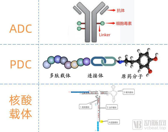偶联靶向递送的几种药物形态