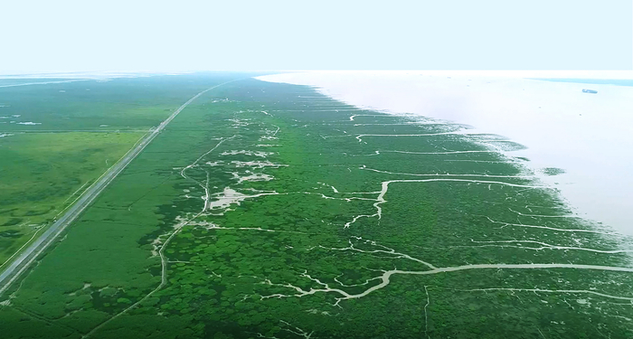 新横沙鸟瞰。图片来自网络