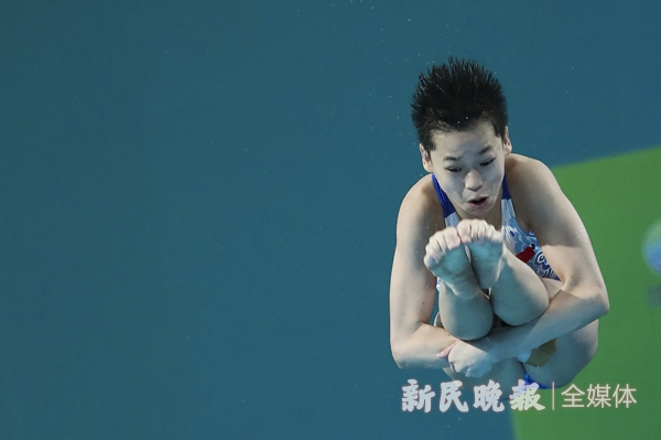 图说：全红婵在比赛中 新民晚报记者 李铭珅 摄