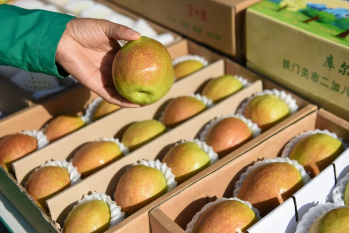 果农展示库尔勒香梨。新华社记者丁磊摄