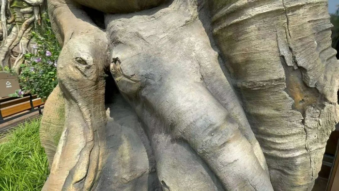 ▲人工雕刻、上色的榕树根表面