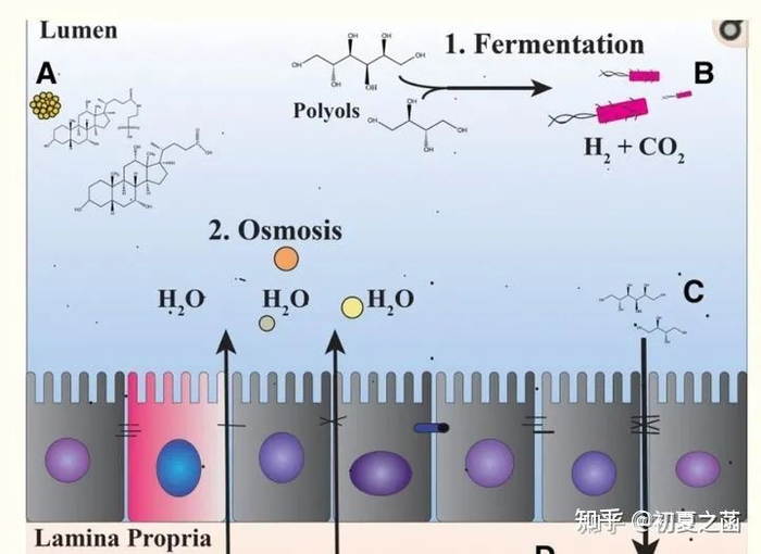 （截图自知乎）
