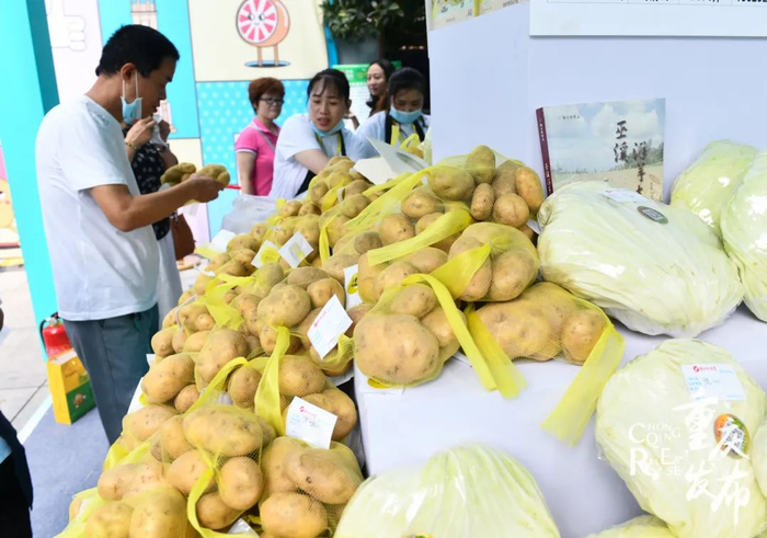 市民在解放碑国泰广场选购巫溪洋芋等农产品。邹乐 摄