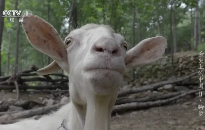 我来看看，一会儿是谁想吃我呀？