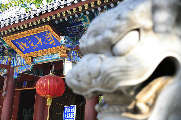 （图片来源/视觉中国）