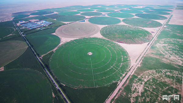 蒙牛·圣牧沙漠有机奶源基地及牧草基地（央广网发 蒙牛乳业供图）