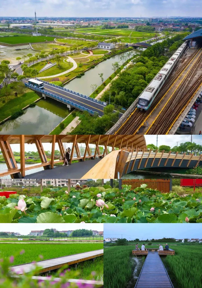 ▲点一点，看看希望的田野