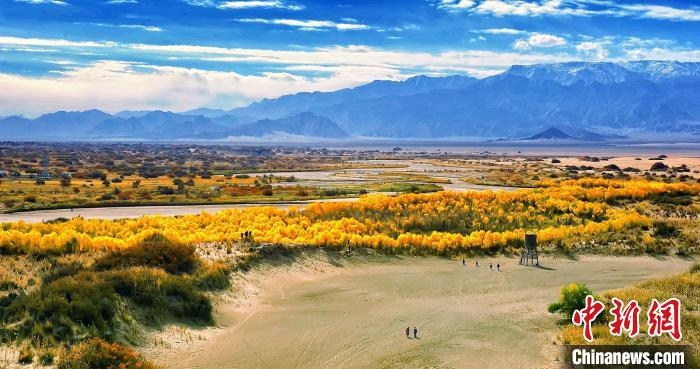 图为格尔木胡杨林景区。　祝贵福 摄
