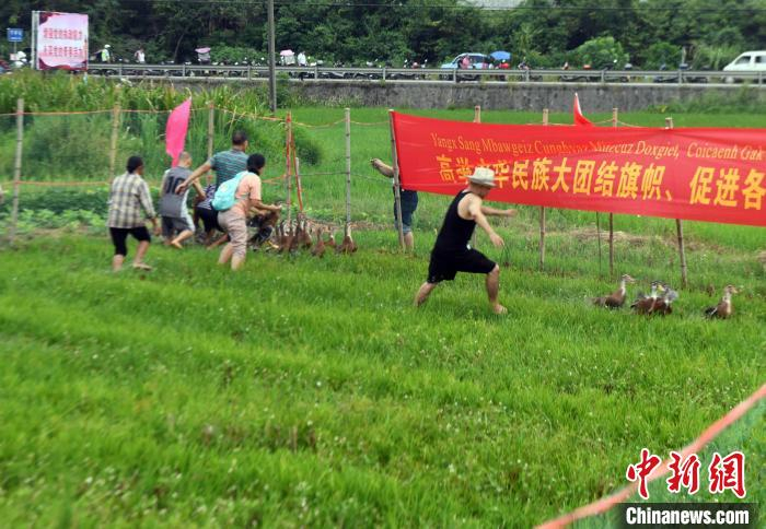 抓鸭体验活动现场。　蒋雪林 摄