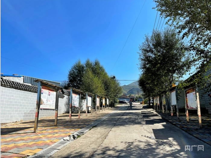 东达村干净整洁的街道（央广网发 滕萌 摄）