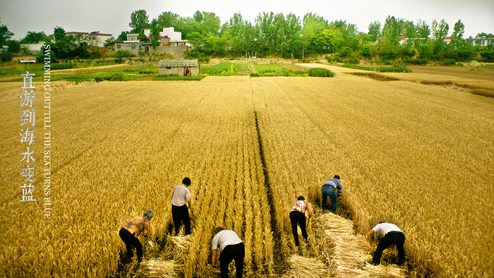 《一直游到海水变蓝》剧照