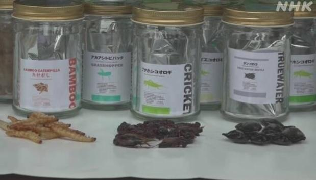 日本“炸昆虫”自动售货机里售卖的昆虫食品。图片来源：NHK报道截图