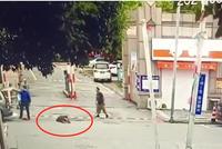 城管拎摔老人!暴力执法,首先就于法不容