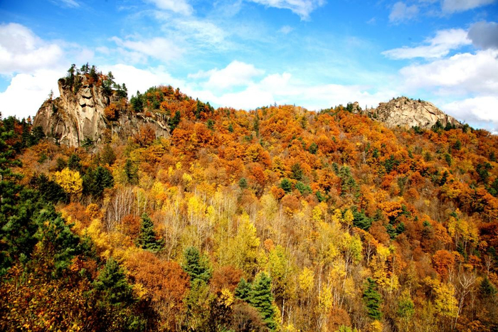 伊春桃山悬羊峰国家地质公园：伊春铁力市小兴安岭西坡南麓桃山林业局施业区内。