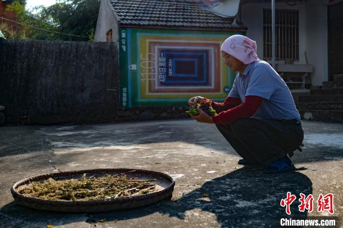 村民在院中择菜。　张娅子 摄