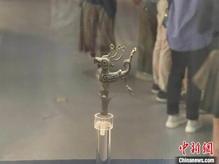 神树枝头花蕾及立鸟。　童笑雨 摄