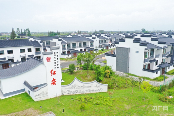红安村貌（央广网发 张莉琳摄）