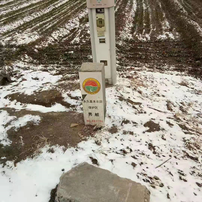 被征占的闫家村耕地上竖起的永久基本农田保护界桩（村民供图 拍摄于2019年）