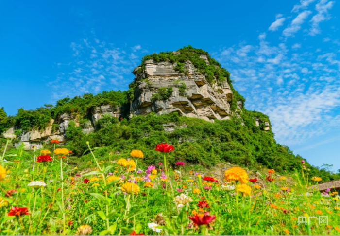 金佛山万卷书台百花齐放（央广网发 拾令摄）