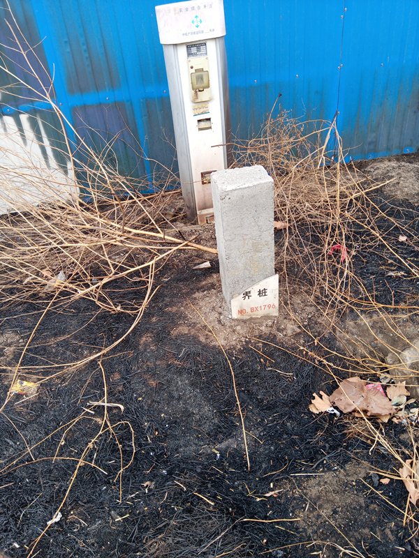 闫家村BX1796永久基本农田保护界桩（村民供图 拍摄于2020年）