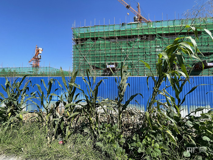 博兴县曹王镇涉事地块上正盖起商业地产（总台央广记者 管昕 摄）