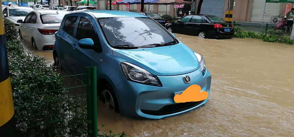 （车主供图，央广网发）