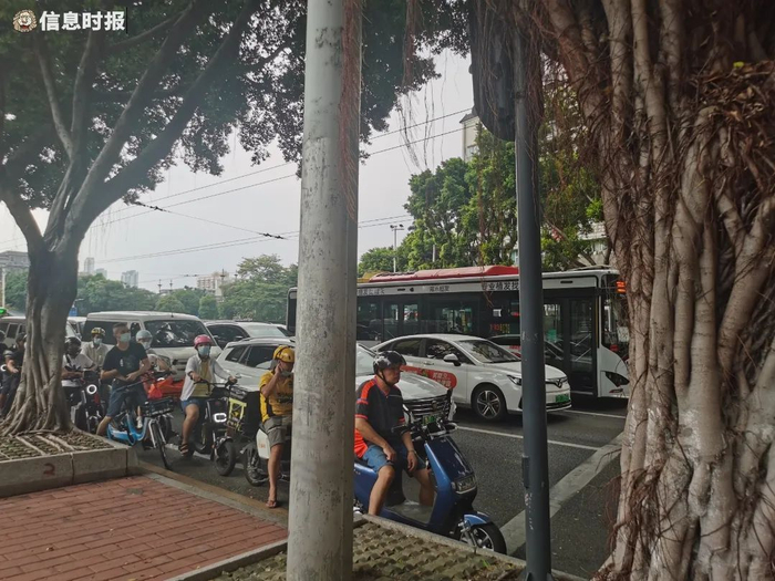 陈家祠站B出口与C出口之间的红绿灯路口。信息时报见习记者 王思雨 摄