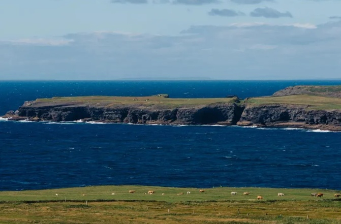 （企业供图，央广网发）