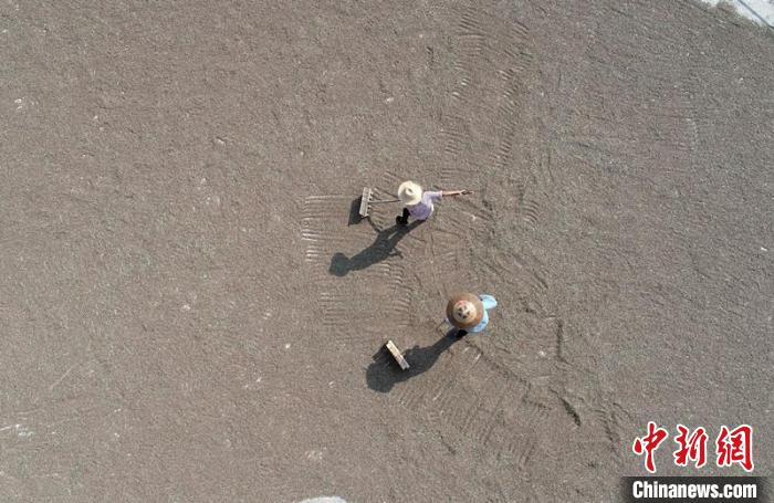 村民在晾晒绿米稻子。　乃继辉 摄