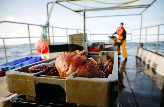 （企业供图，央广网发）