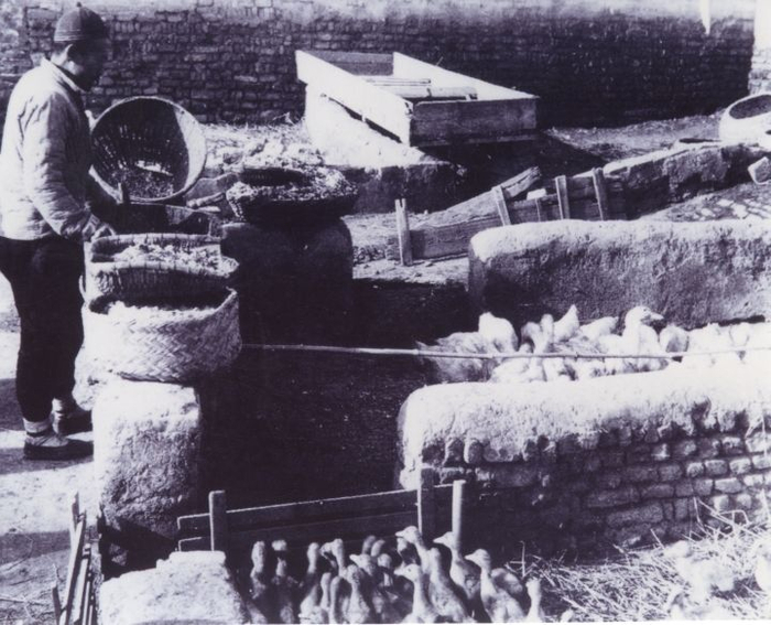 早年的鸭局子，也就是放养鸭子的地方。