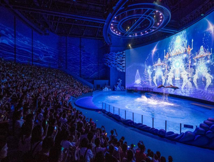 融创文旅城海世界表演（央广网发 重庆融创文旅部城供图）