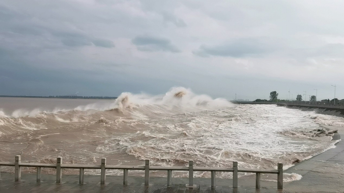 监制：梁悦郭静