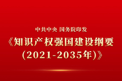 权威快报|知识产权强国建设纲要发布