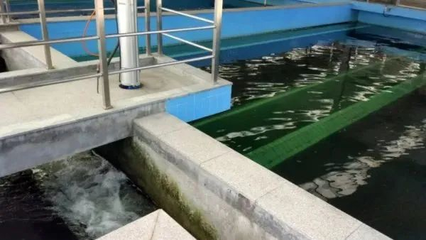 氧气机用什么水【关注】关于自来水厂工艺的详解!_新闻资讯_第16张_活检穿刺产品网 氧气机用什么水【关注】关于自来水厂工艺的详解!_https://www.jmylbn.com_新闻资讯_第16张