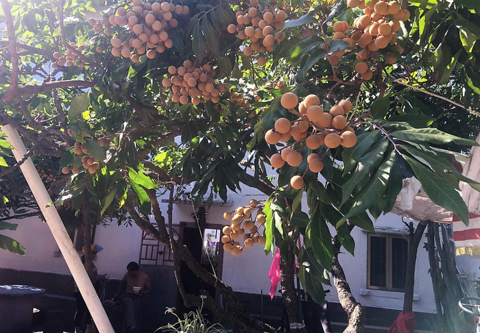 去莆田可以一饱口福。|摄自王千马