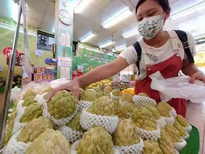 ▲台湾民众在挑选释迦。（台湾中时新闻网）