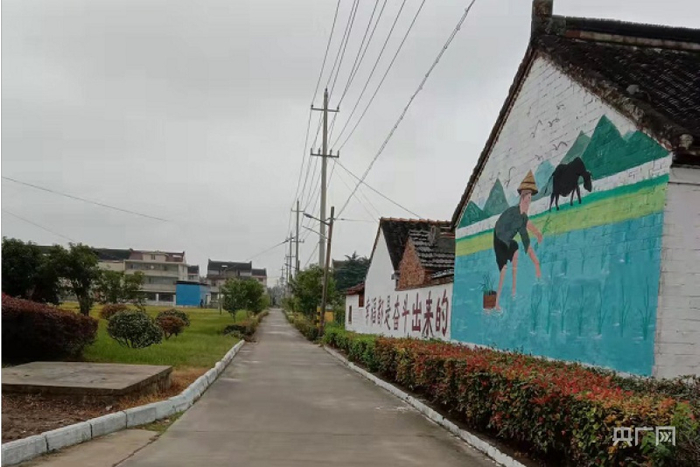 陆桥村干净整洁的村庄环境（央广网发 高烨摄）