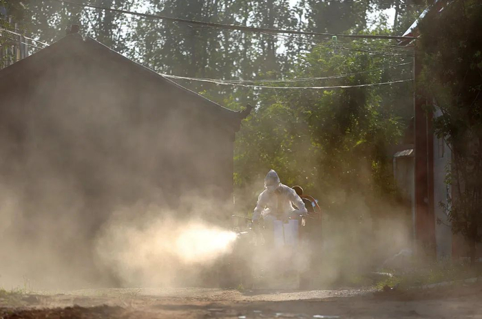 消杀现场（受访者供图）