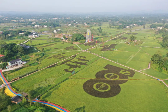 节日期间，大足还将举办亲子定向赛、田野露营、亲子BBQ活动，游客不仅可以逛五彩稻田、看巨型稻，还可以同家人一起听蛙声、闻稻香，享受美好的田园时光。 大足区委宣传部供图