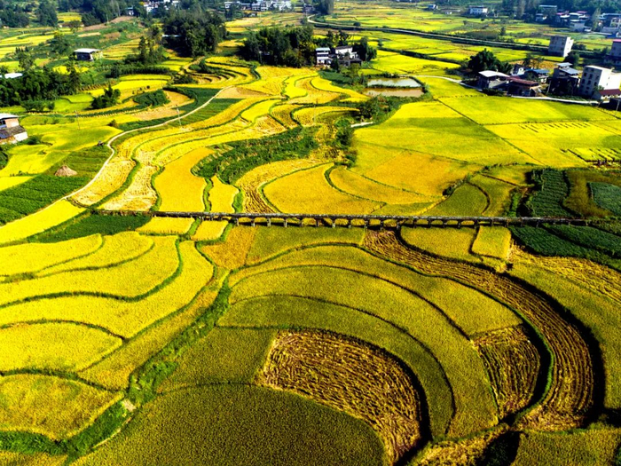 近年来，云阳县建成高标准农田28万亩，粮食产量连续5年稳定在40万吨以上，果菜肉蛋品种丰富、质优物美，农业总产值突破百亿。云阳县委宣传部供图