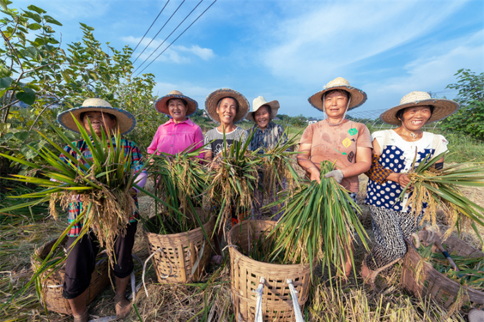 村民们收获丰收的喜悦。陈林 摄