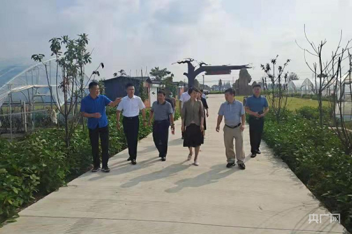 协商议事前，与会人员进行湿地调研（央广网发 卫晓丽摄）