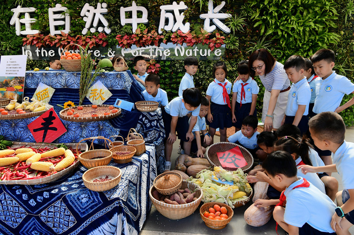 秋分时节  金华市苏孟小学校园晒秋庆丰收