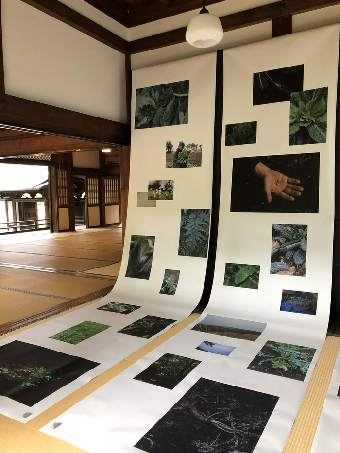 展览现场©ProfotoJapan