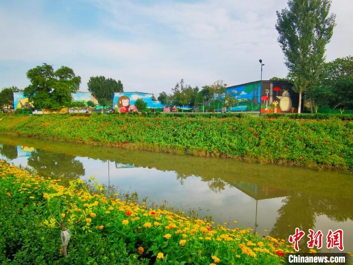 图为蠡县城外月明河花海、3D手绘墙体漫画等相映成趣。　徐巧明 摄