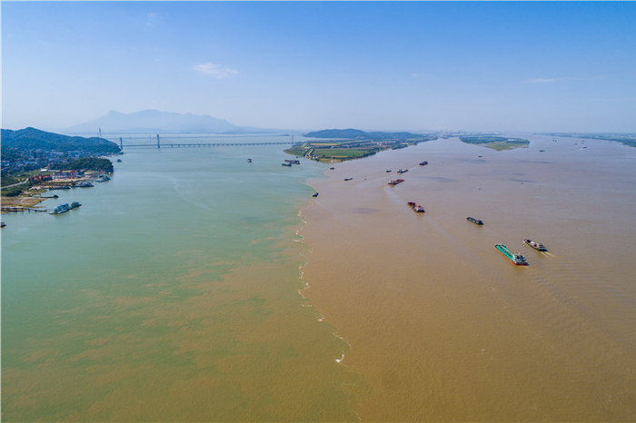 “江湖两色”水线分明（央广网发 李学华 摄）